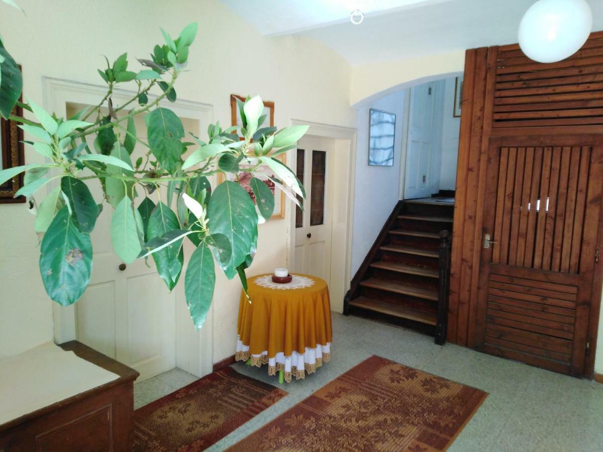 Apartment Banko *